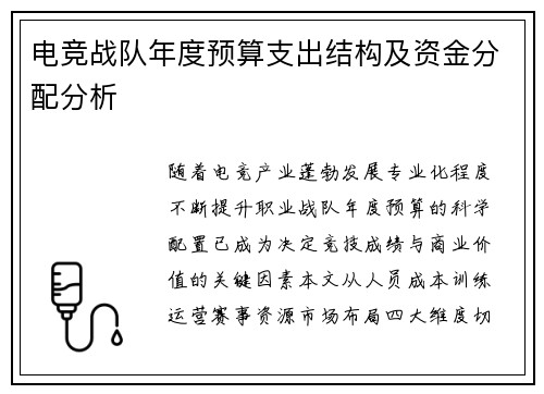电竞战队年度预算支出结构及资金分配分析